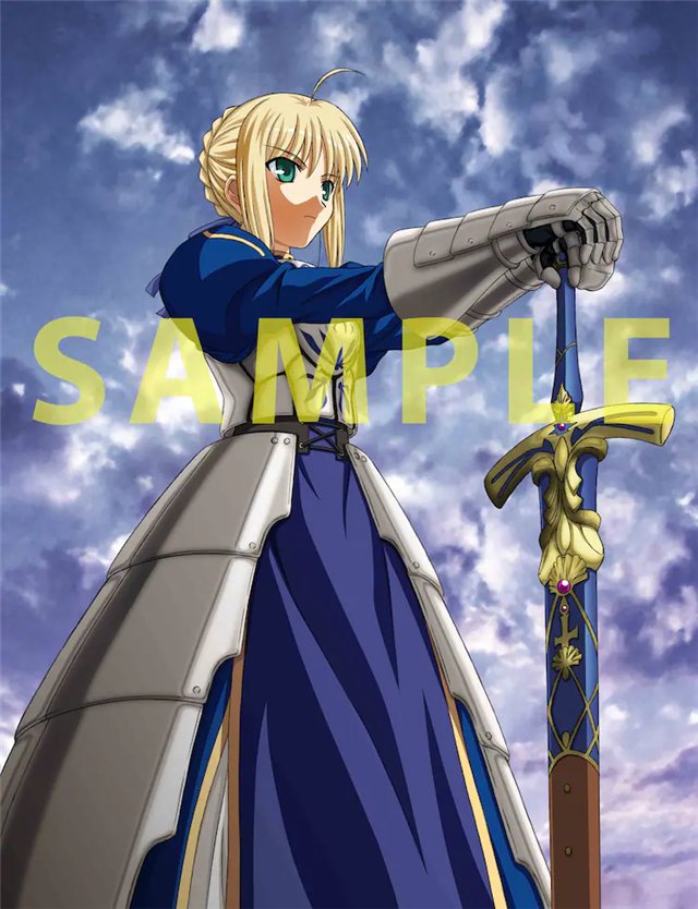 TV动画《Fate/stay night》将发售特价版BD插图15爱奇漫