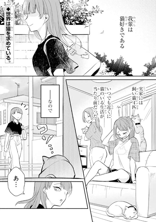 养不了猫的注意了！你还可以养…插图1爱奇漫