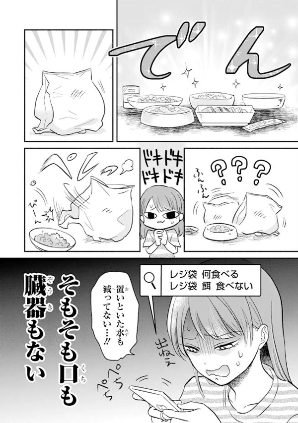 养不了猫的注意了！你还可以养…插图13爱奇漫