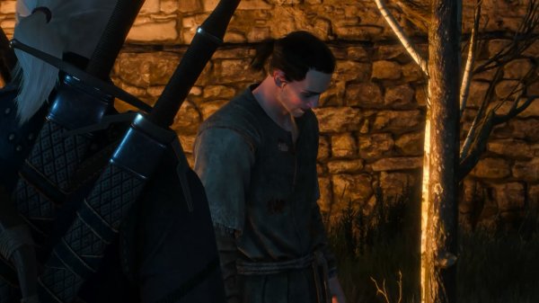 《巫师3次世代版》任务扩展MOD：将活动转为支线任务插图9爱奇漫