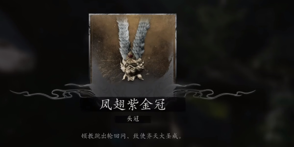 黑神话悟空大圣轮回套装怎么获得插图11爱奇漫