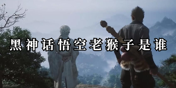 黑神话悟空老猴子是谁插图1爱奇漫