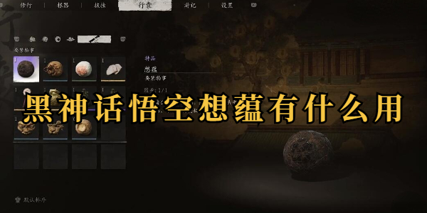 黑神话悟空想蕴有什么用插图1爱奇漫