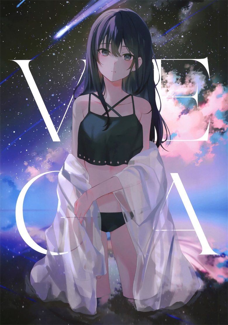 (C100) [hanasaku (Aちき)] VEGA (オリジナル)插图1爱奇漫