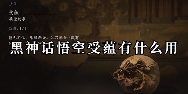 黑神话悟空受蕴有什么用插图1爱奇漫