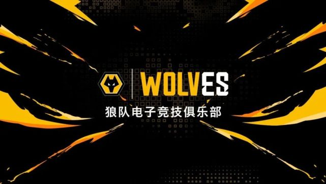 “双冠全华班”深圳狼队再临洲际赛场 FC Pro冠军杯8月19日打响巅峰角逐插图1爱奇漫