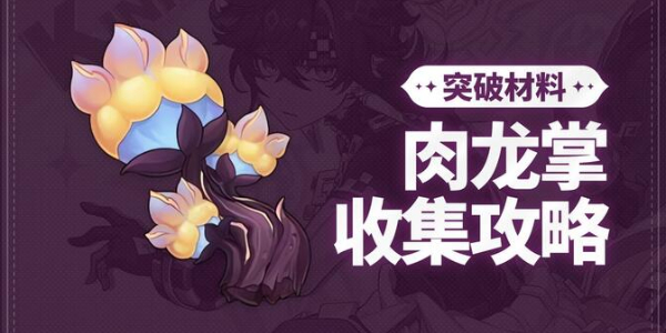 原神肉龙掌采集路线插图1爱奇漫