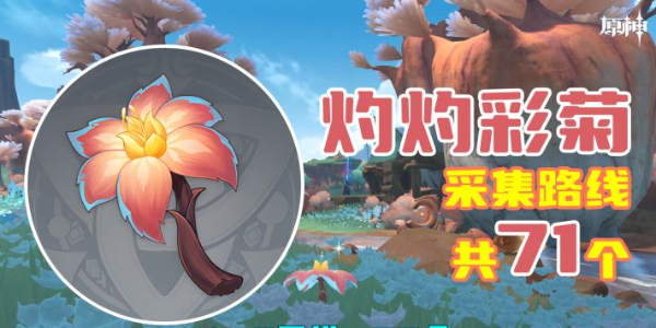 原神灼灼彩菊采集路线插图1爱奇漫