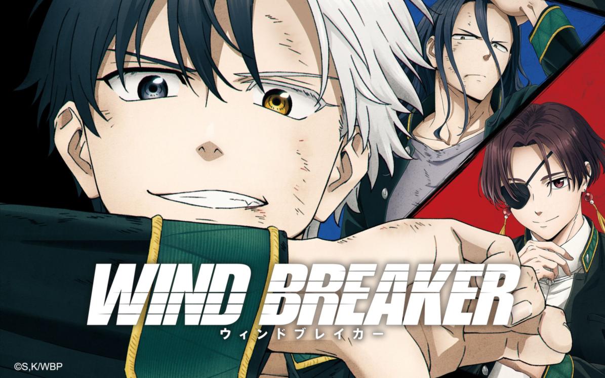 动画《WIND BREAKER—防风少年— 第二季》公开先导 PV 、先导视觉图插图1爱奇漫