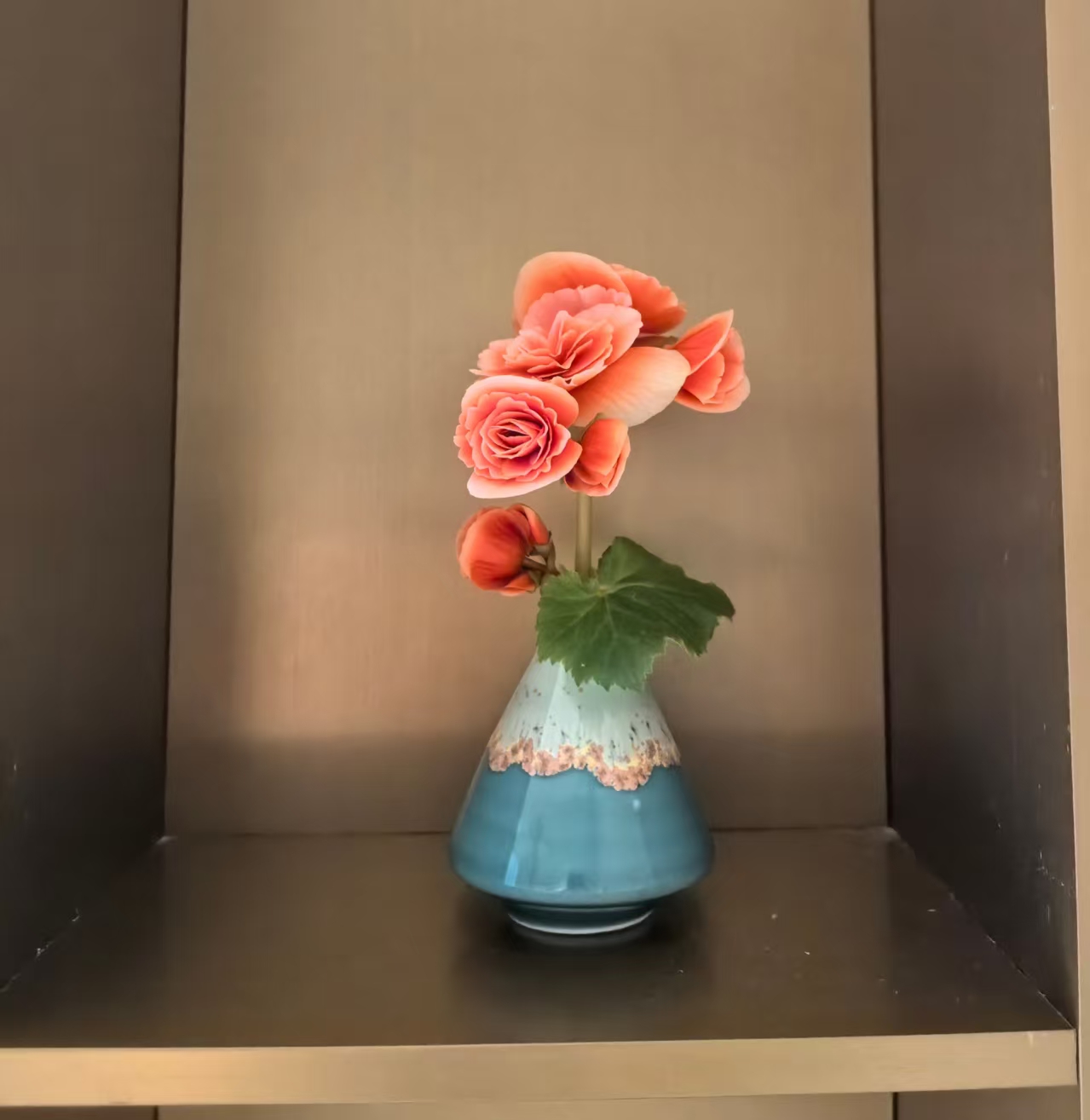 治愈感拉满的玄关招财小窝插图14爱奇漫